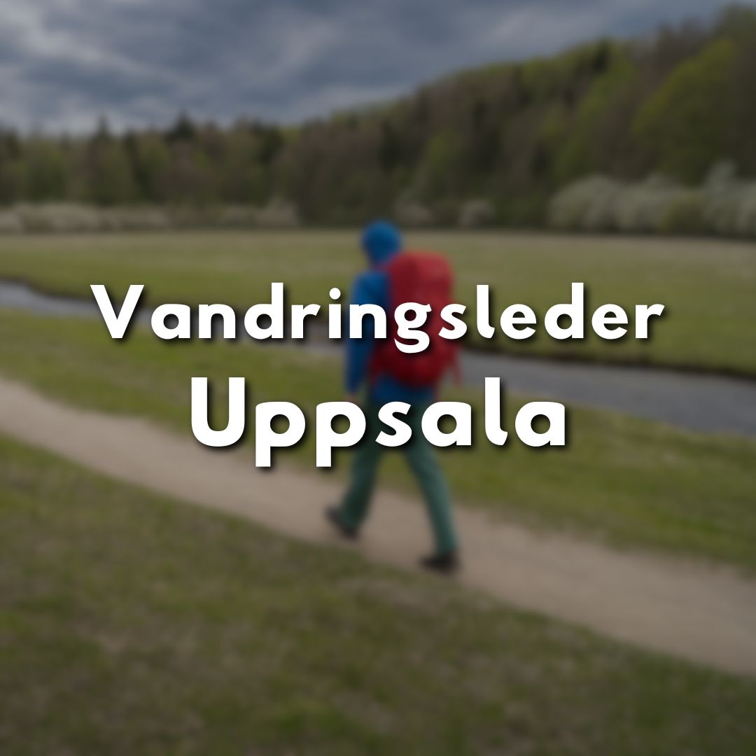 Person med ryggsäck vandrar längs en stig i naturen utanför Uppsala.