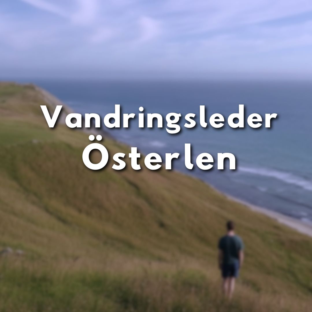 Vandrare blickar ut över havet från en höjd längs Österlens kust, med text "Vandringsleder Österlen"
