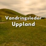 Grön stig mellan kullar i Gamla Uppsala med texten "Vandringsleder Uppland"