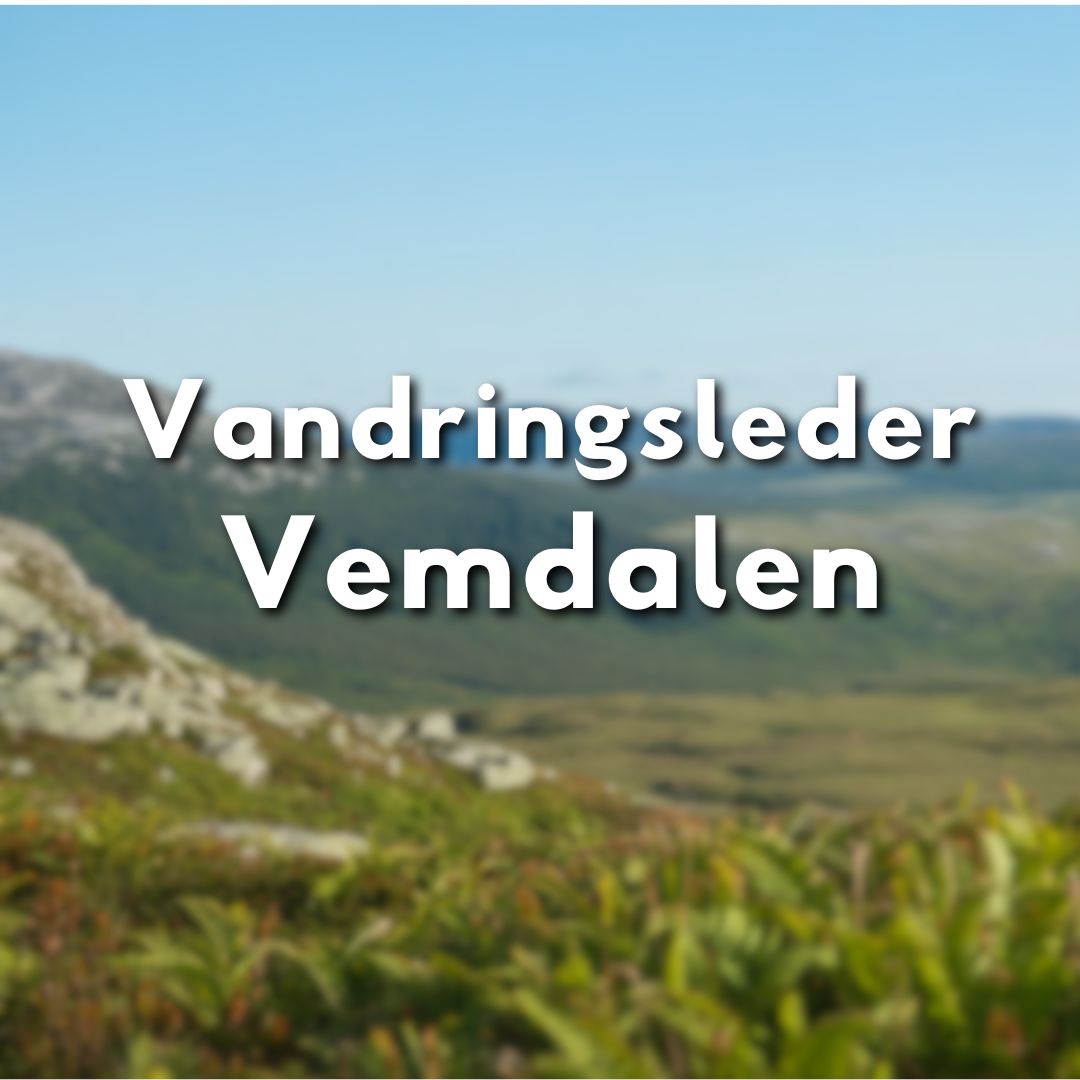 Texten "Vandringsleder Vemdalen" i vit stil över en suddig bakgrund med fjäll och fjälläng.