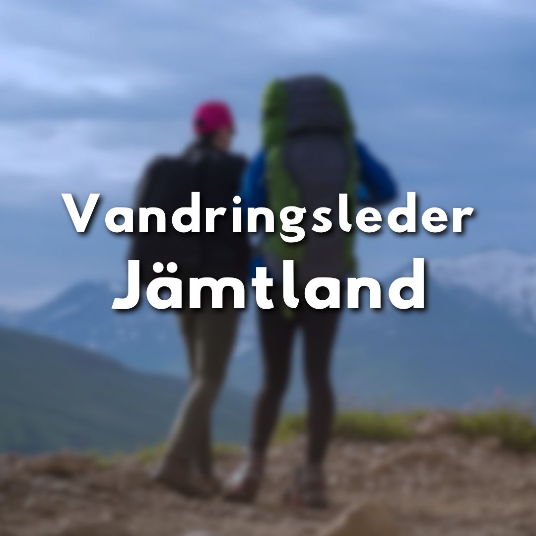 Två vandrare med ryggsäck blickar ut över Jämtlands fjällvärld