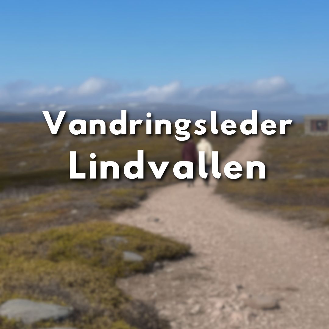 Två personer vandrar på en fjällstig under klarblå himmel med texten "Vandringsleder Lindvallen".