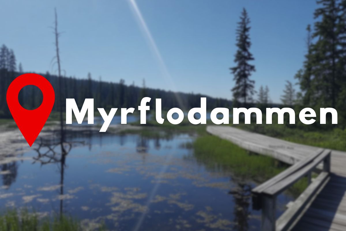 Guide till vandring Myrflodammen Vildmarknaden.se Vy över Myrflodammen med spångad led och skog i bakgrunden, samt texten "Myrflodammen" med platsmarkör.