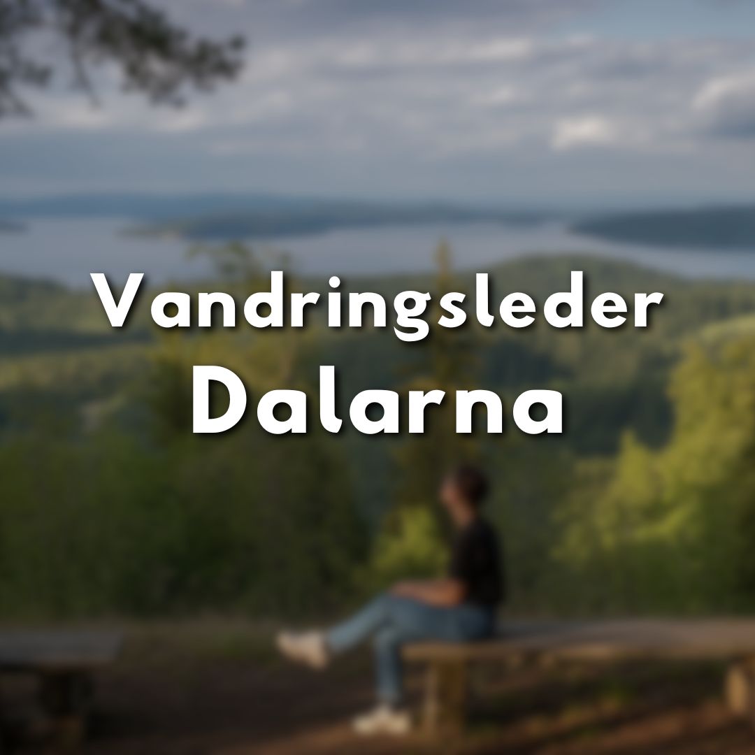 Person som sitter på en bänk och blickar ut över skogslandskap och sjö i Dalarna.