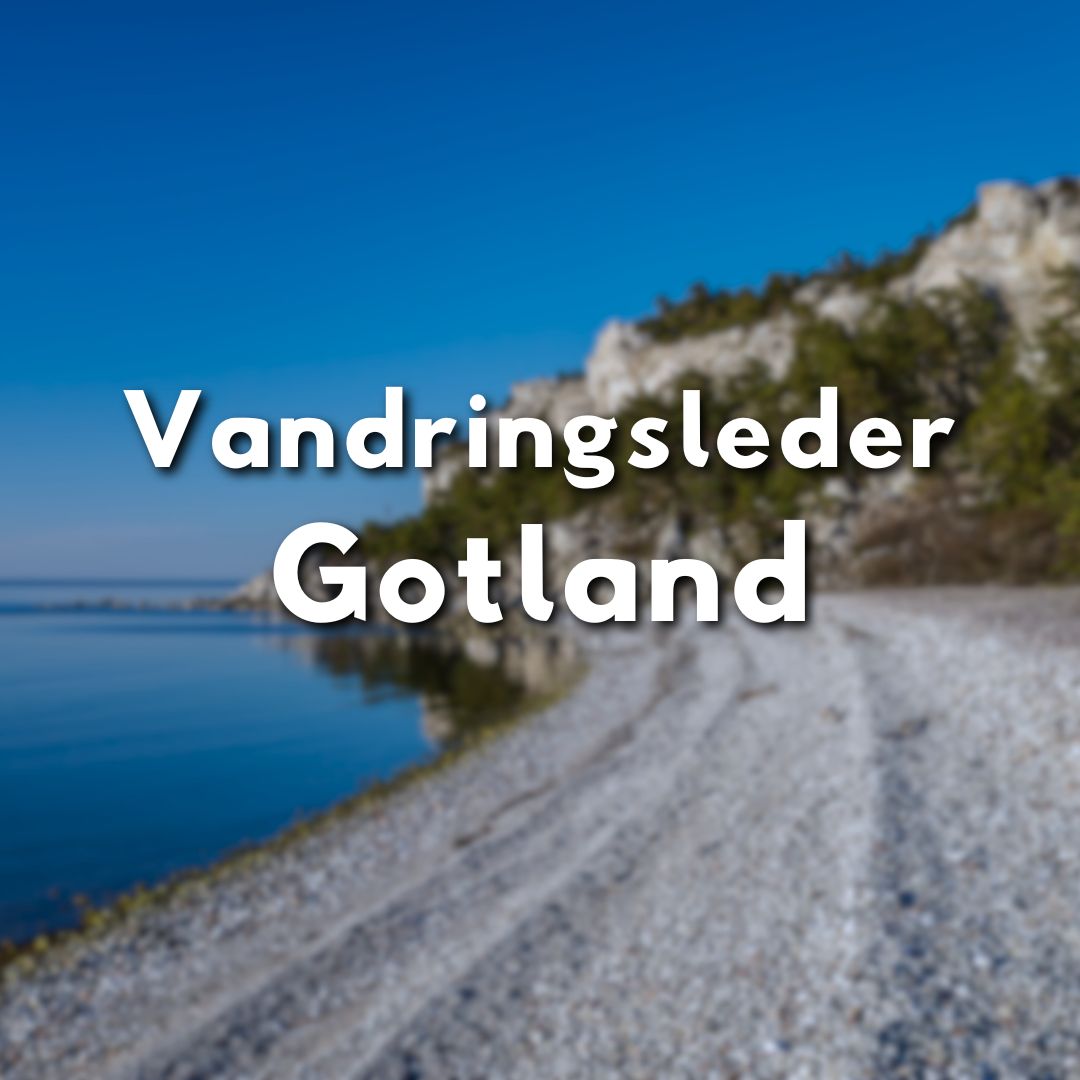 Kustnära vandringsled på Gotland med texten "Vandringsleder Gotland" i fokus, mot blå himmel och stenstrand.