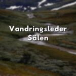 Texten "Vandringsleder Sälen" över fjällandskap med bäck