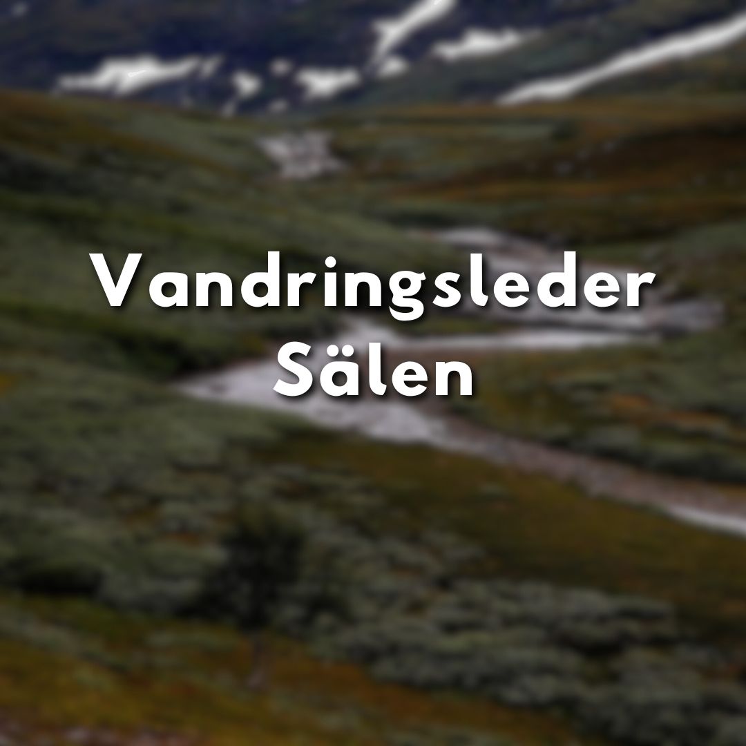 Texten "Vandringsleder Sälen" över fjällandskap med bäck
