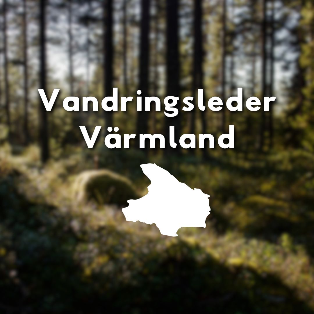 Solbelyst skog med texten ”Vandringsleder Värmland” och en vit siluett av landskapet.