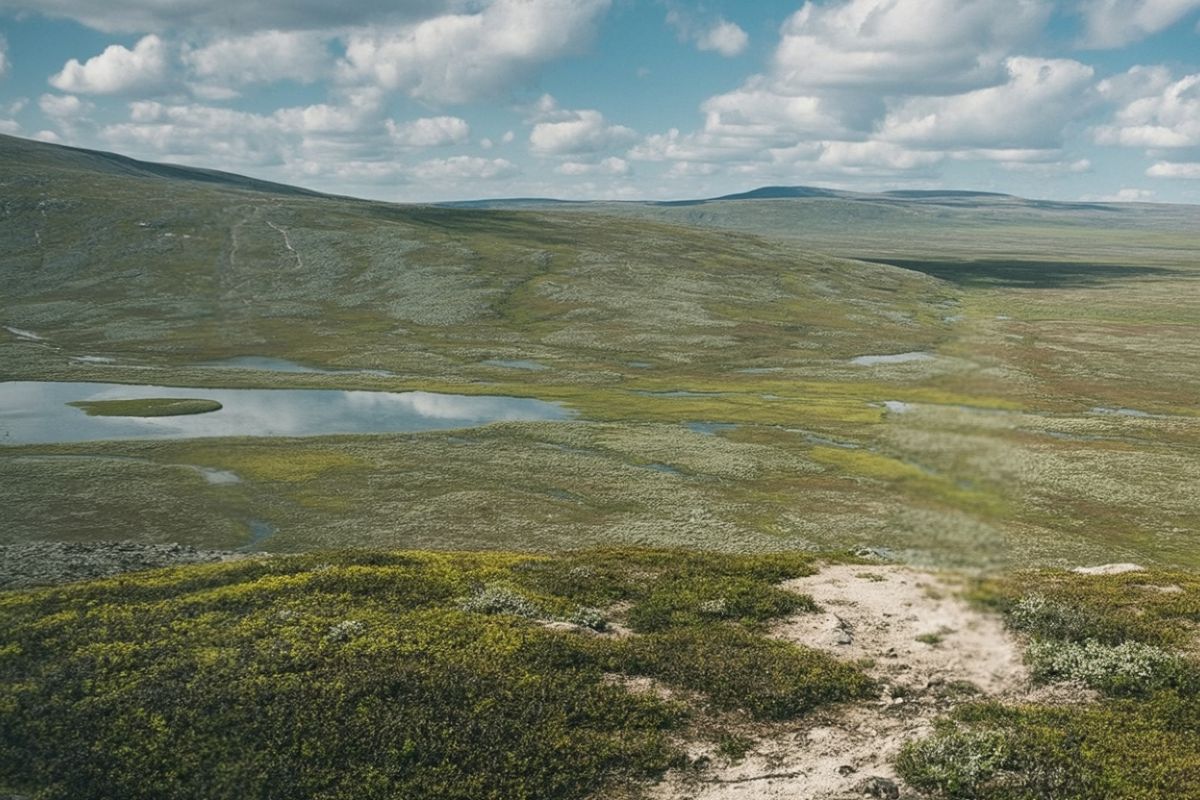 Upplev vandringar vid Lindvallen Vildmarknaden.se Fjällandskap med myrmark, små sjöar och vidsträckt utsikt under en blå himmel.