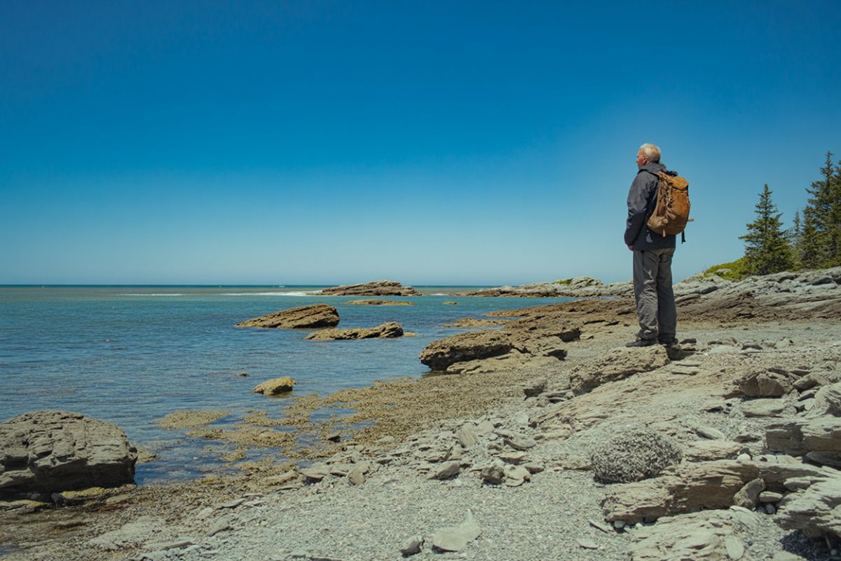 Vandringsleder Gotland Vildmarknaden.se Man med ryggsäck står på klippor vid havet och blickar ut över horisonten, under klarblå himmel.