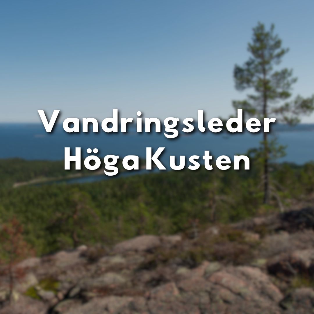 Vy från en klippa med utsikt över skog och hav vid Höga Kusten, med texten "Vandringsleder Höga Kusten" i förgrunden.