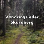 Texten "Vandringsleder Skaraborg" framför en mossig skogsstig.