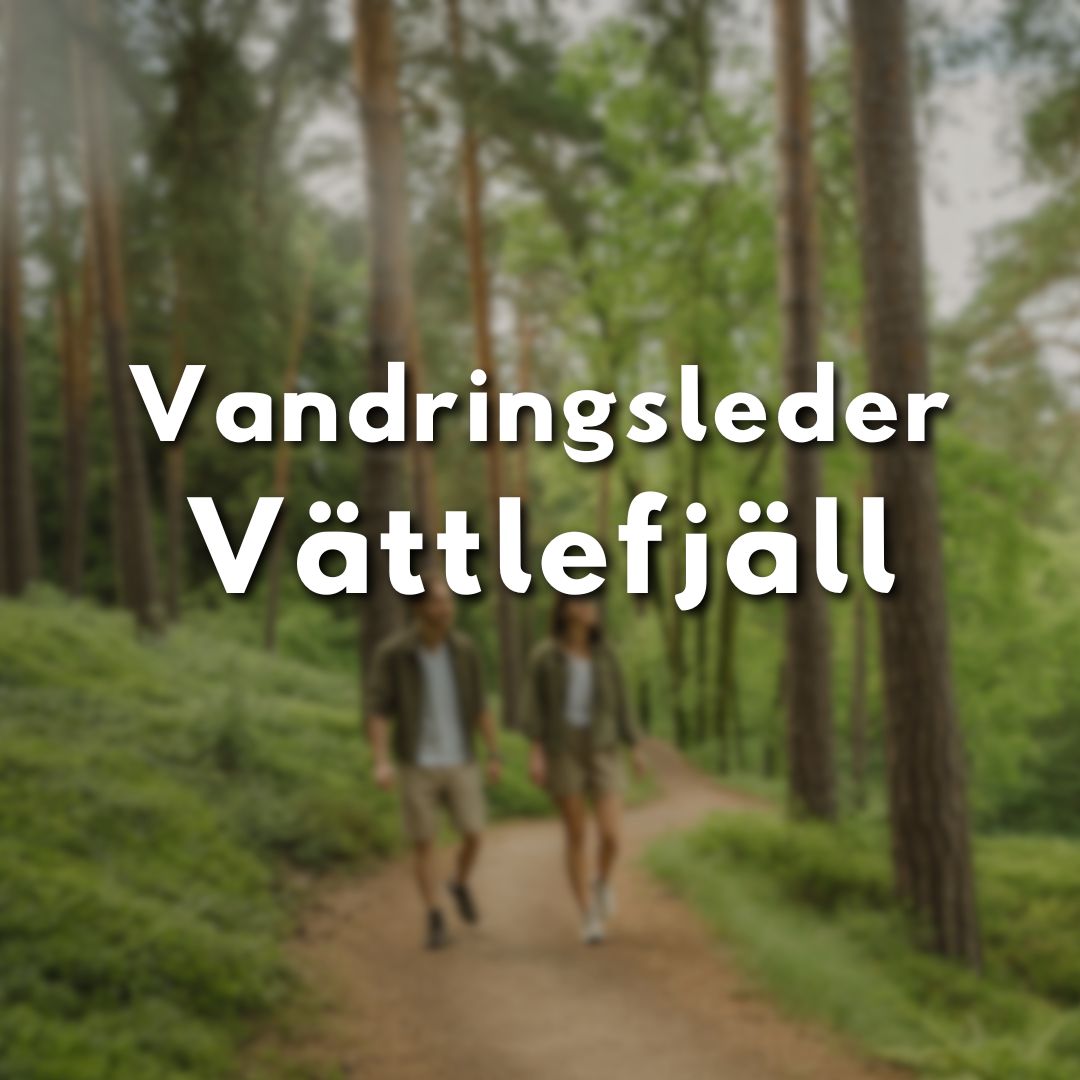 Två personer vandrar på en bred stig omgivna av grönskande skog, med texten “Vandringsleder Vättlefjäll” i fokus.