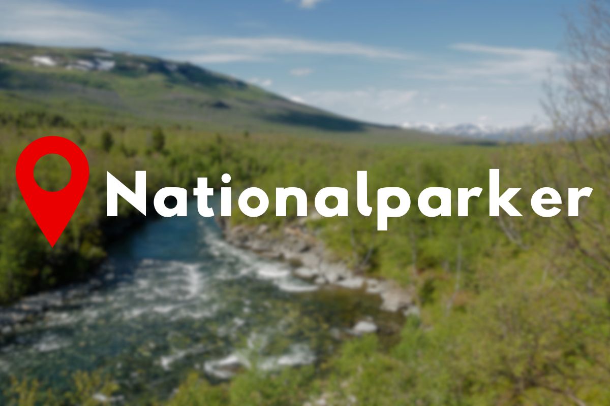 Guide till nationalparker och reservat Vildmarknaden.se Vy över fjällbäck och fjällskog med texten "Nationalparker".