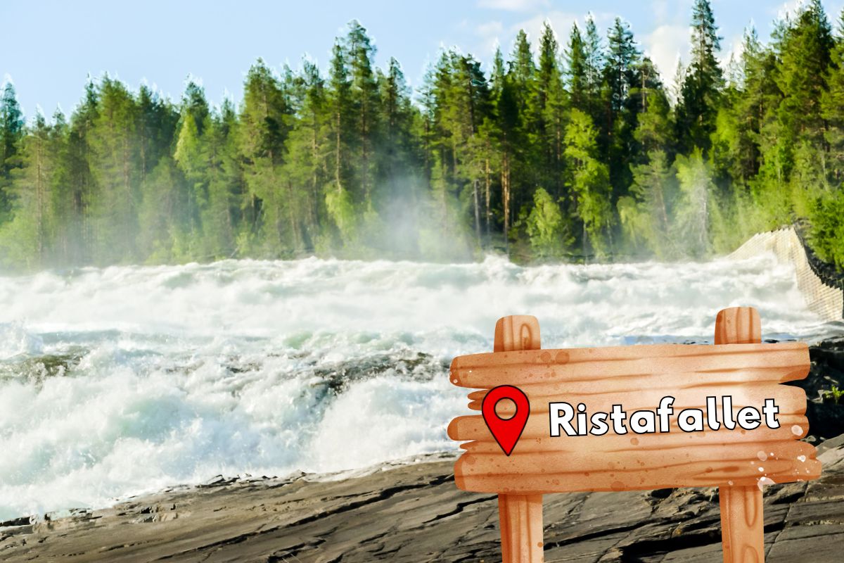 Ristafallet vattenfall Vildmarknaden.se Ristafallet i Jämtland, kraftfullt vattenfall vid Indalsälven