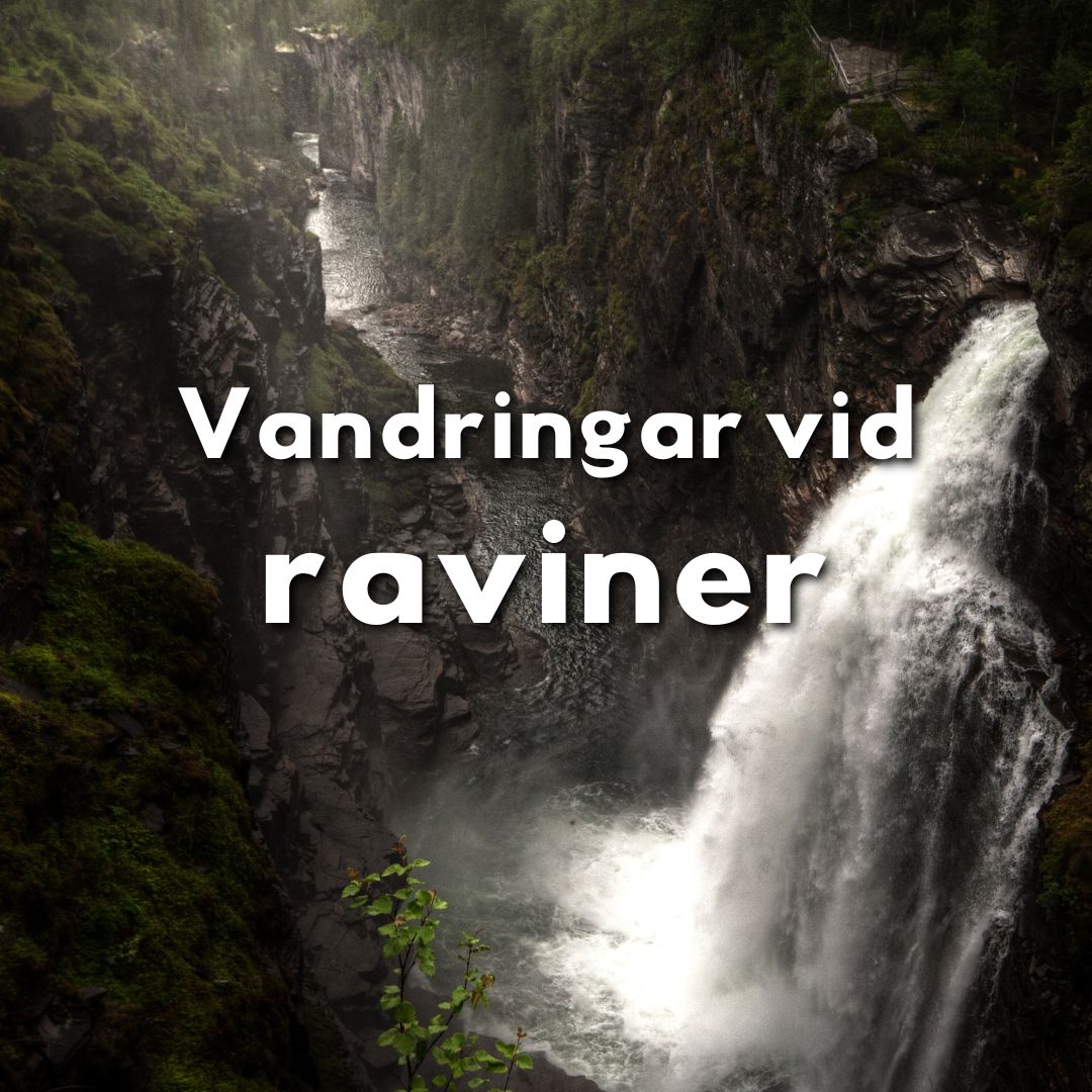 Djupt vattenfall som forsar genom en kanjon, vy från ovan i dramatiskt landskap.