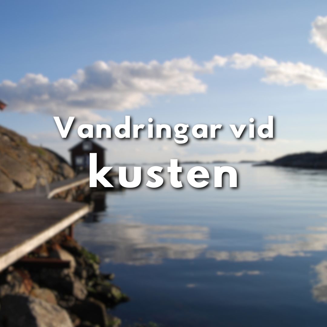 Spegelblankt hav och brygga med texten "Vandringar vid kusten".
